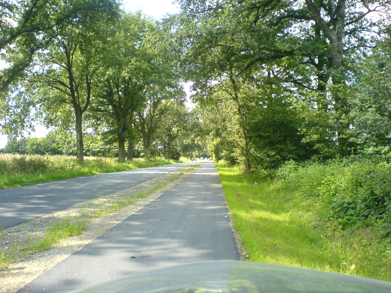 DSC00768.JPG