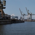 IMG 0803