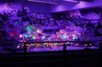 IMG 5953