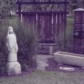 110-01-20-12 DxO