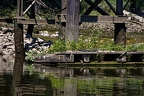 IMG 9981