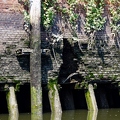 IMG 0018