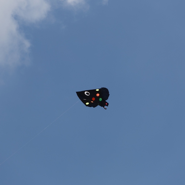 IMG_0648.jpg