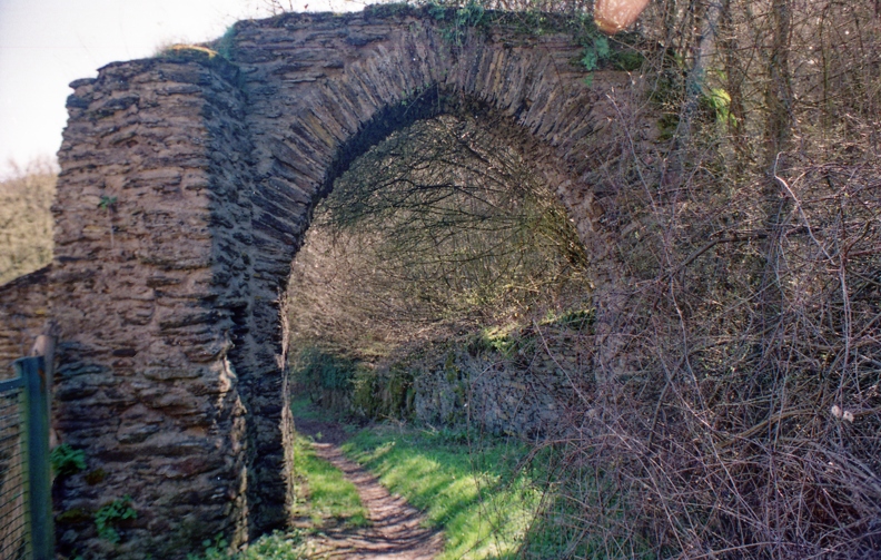 img350.jpg