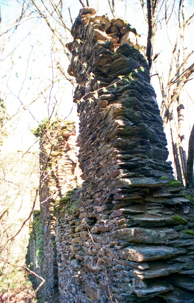 img352.jpg