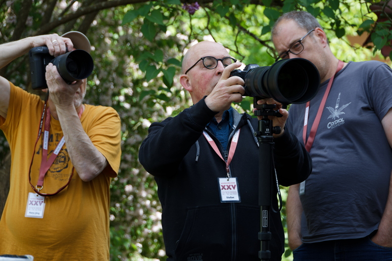 2025-05-24 15.52.25,   IMG_0560.jpg