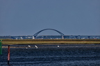 2025-06-17 15.29.12 IMG 0060.CR3 .