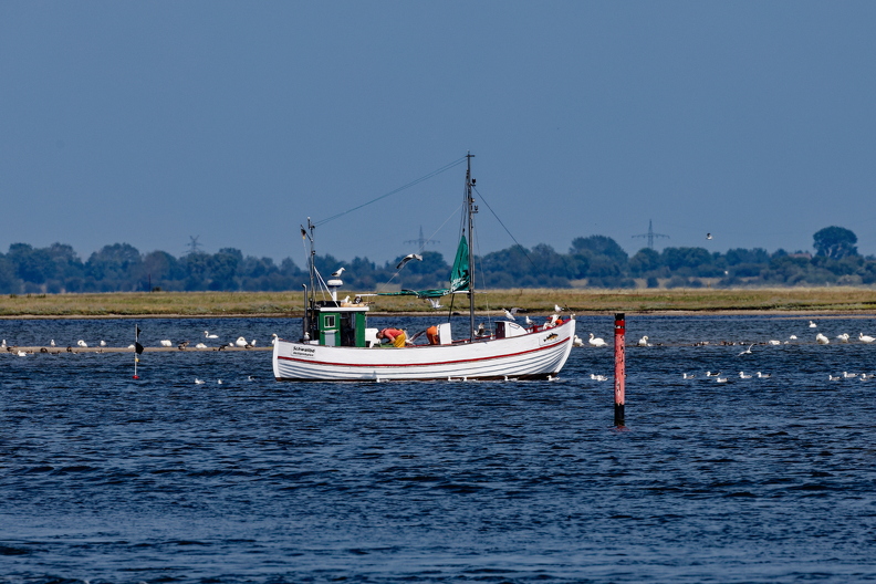 2025-06-17 15.37.00 IMG_0080.CR3 ..jpg