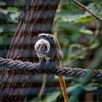 2025-08-21 13.44.53  IMG 0024