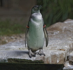 2025-08-21 14.57.14   MG 5807