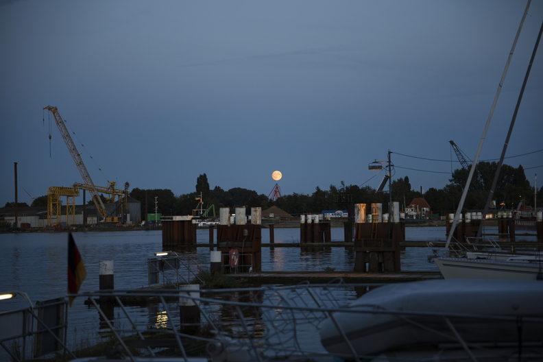 2025-09-06 20.11.04  _MG_5900.jpg