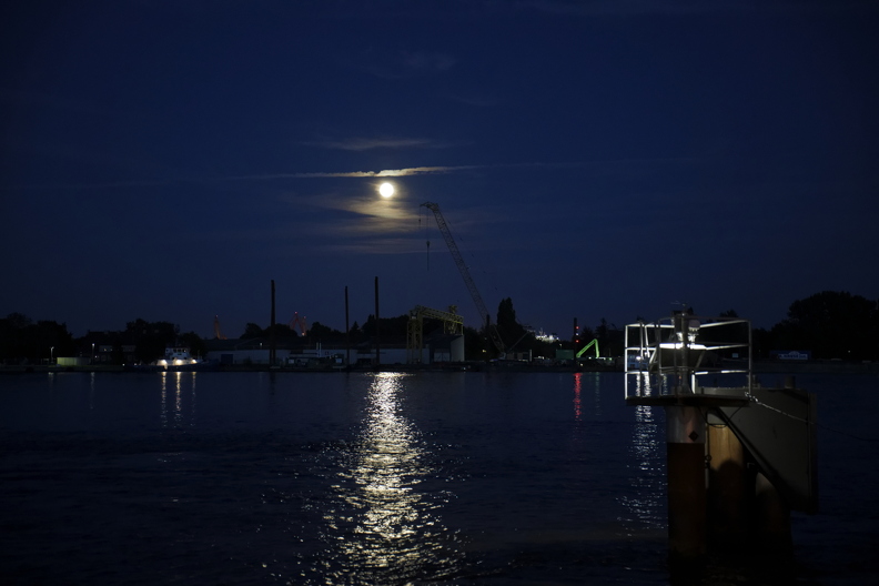 2025-09-06 20.48.51  _MG_5911.jpg